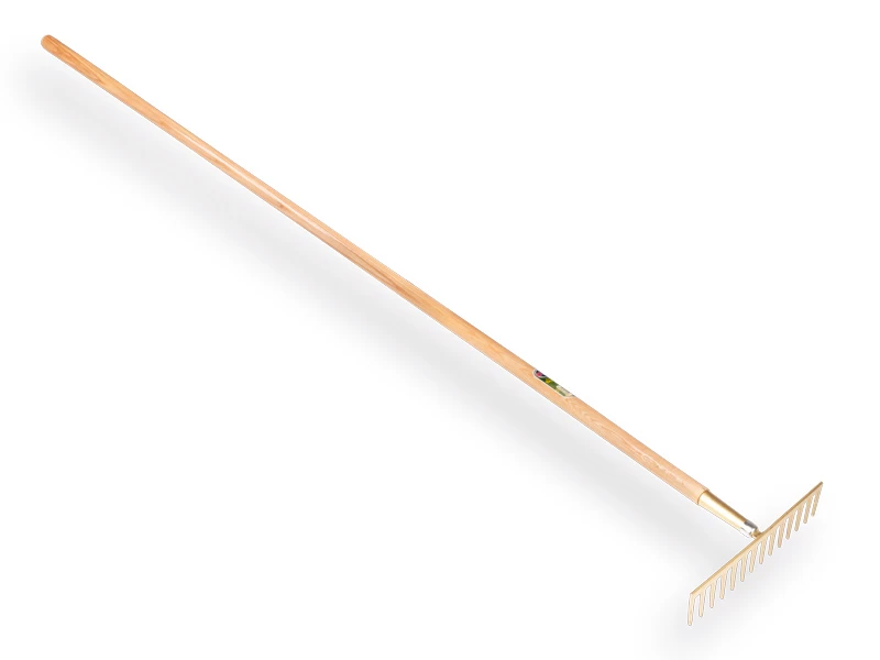 Asfalthark 14 tands
