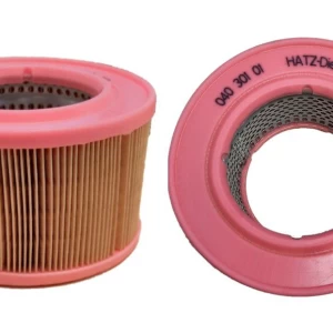 Hatz 1D42 / 1D50 Luchtfilter 04030100