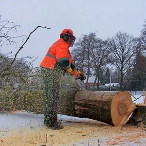 Kettingzaag