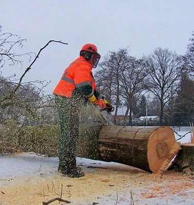 Kettingzaag