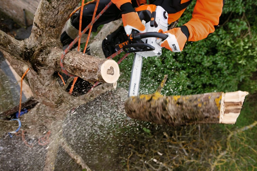 Stihl MS 201 TC-M kettingzaag benzine
