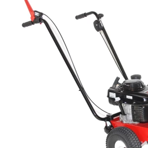 Tielbürger onkruidborstelmachine TW50 Briggs & Stratton