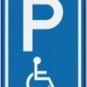 Verkeersbord E06 -  60 x 40 cm / Gehandicapten parkeerplaats