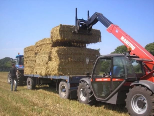 Verreiker 9 meter 3,2 ton